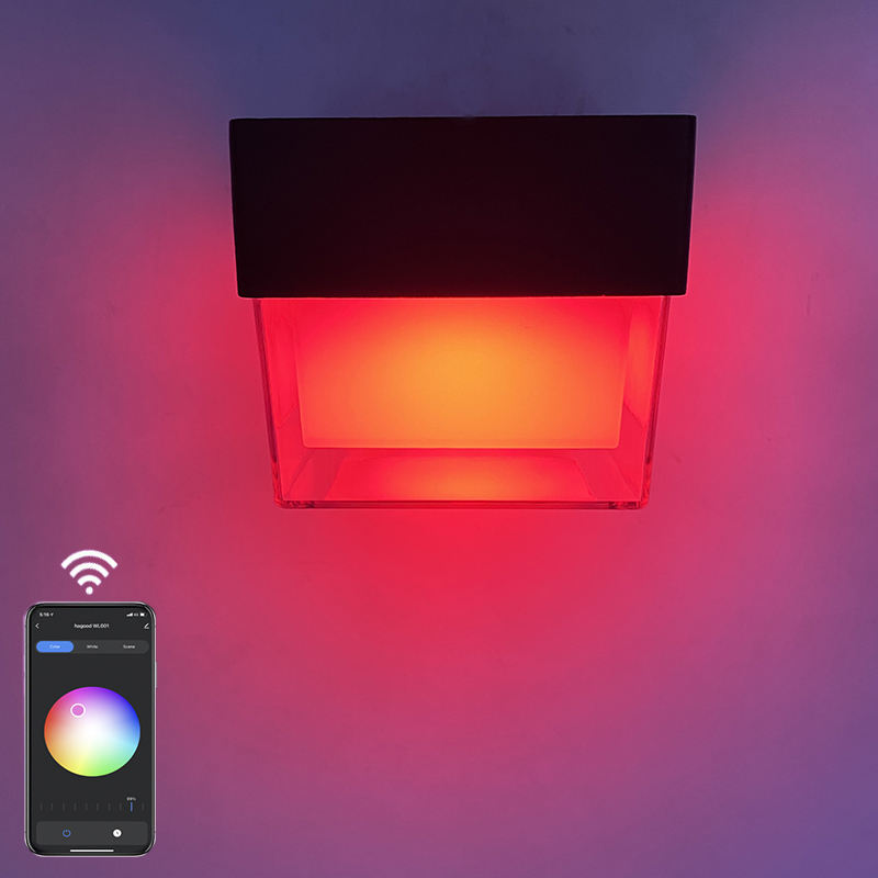 New Design Hot Selling High Quality 3w 6w 9w Outdoor Single Down Led Cob Wall Light Round Led Wall Lamp IP65 Crystal Hotel Lamp New Design Hot Selling High Quality 3w 6w 9w Outdoor Single Down Led Cob Wall Light Round Led Wall Lamp IP65 Crystal Hotel Lamp