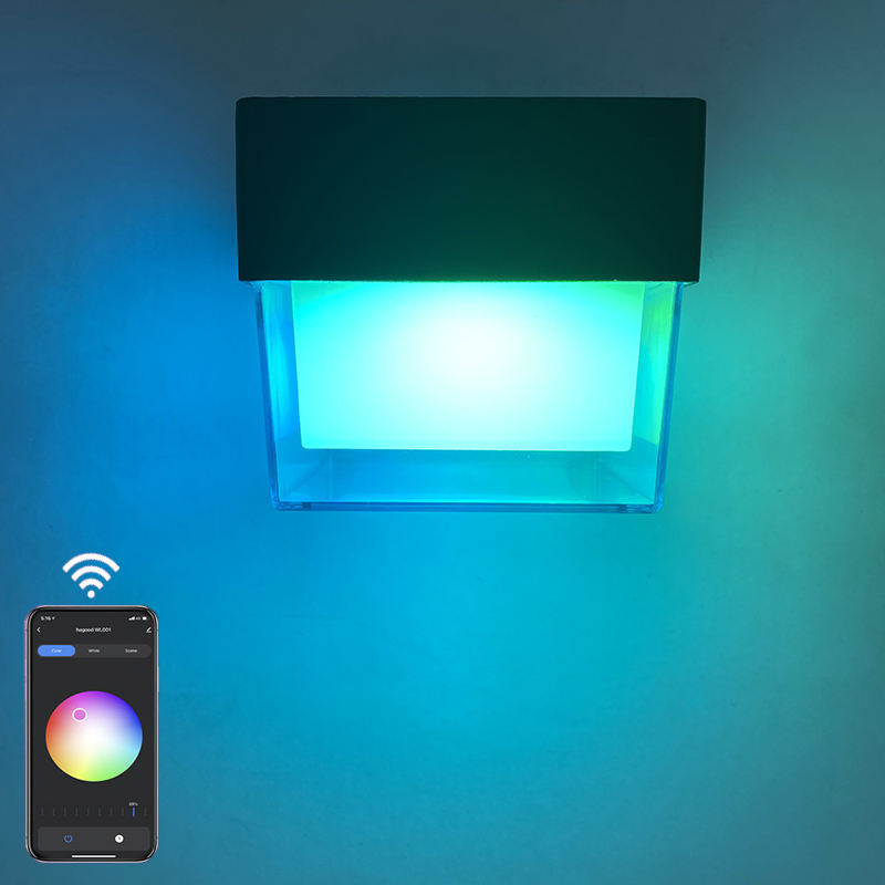 New Design Hot Selling High Quality 3w 6w 9w Outdoor Single Down Led Cob Wall Light Round Led Wall Lamp IP65 Crystal Hotel Lamp New Design Hot Selling High Quality 3w 6w 9w Outdoor Single Down Led Cob Wall Light Round Led Wall Lamp IP65 Crystal Hotel Lamp