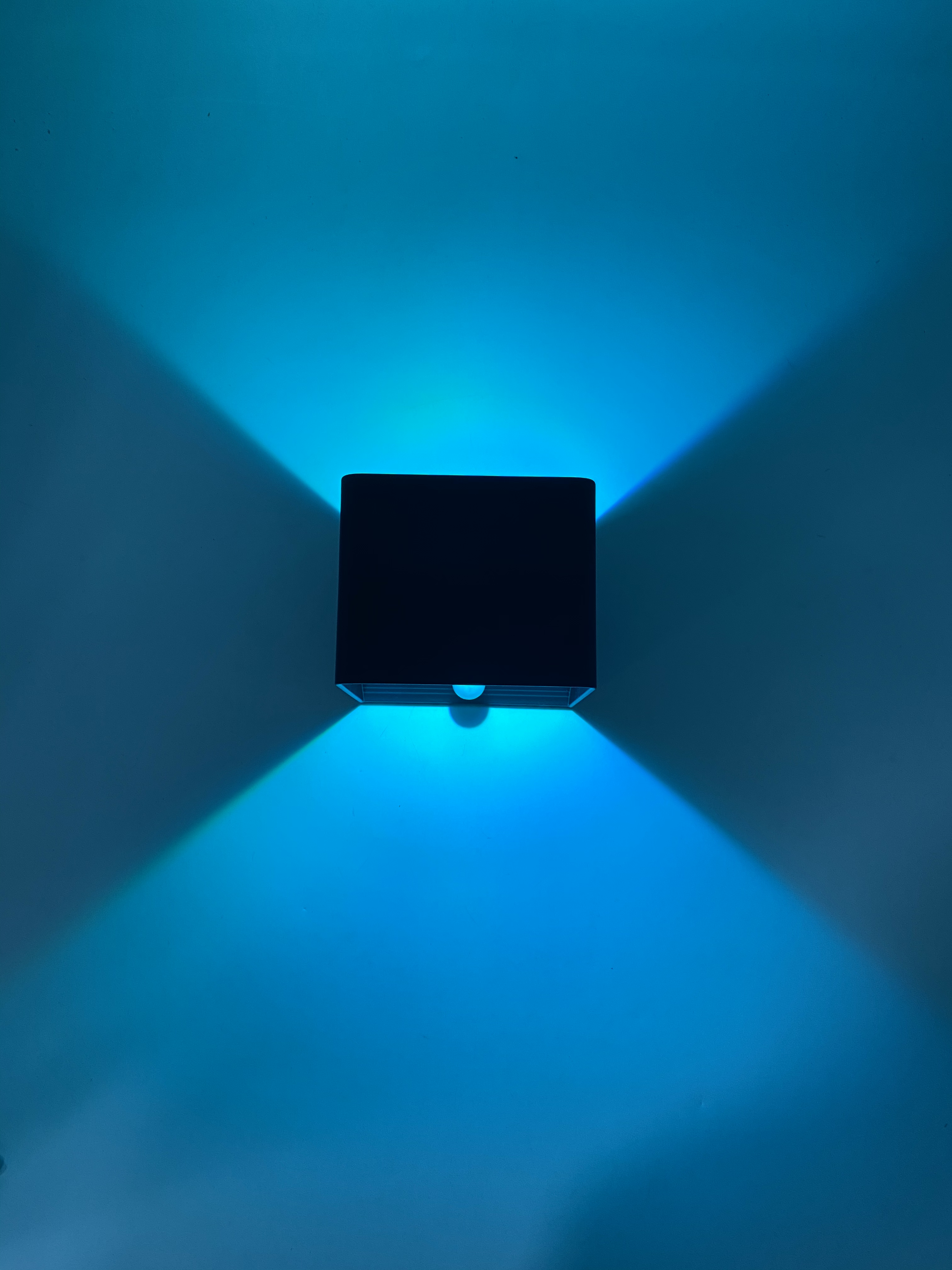 Led Wall Sconce