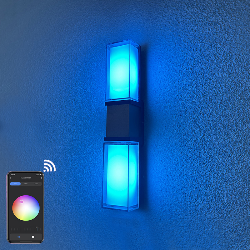 9W Tuya APP Control Wall Lamp led light app control app control light Gold belt wall lamp Smart Wall Lamp outdoor lighting