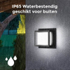 Decorative Acrylic waterproof Wall Mounted Led Outdoor Indoor Wall Lamp Led Lights