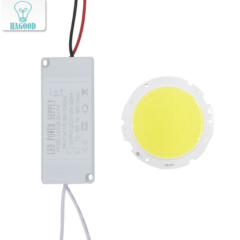 1 set 3W 5W 7W 10W 12W 15W 20W 25W 30W COB led chip board panel for led spotlight lamp+Plastic Shell LED power supply driver