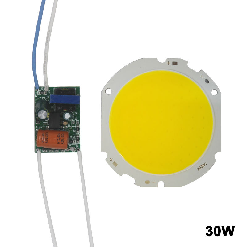 LED COB Lamp Bead 10W-30W Light Source Chip Cold /Warm Switch Conversion with Segment Control Power Adapter DIY Driver