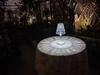 Table Lamp Modern Crystal LED Rose Lights Indoor Lighting for Bedside Table LED Touch Control Night Light LED Desk Lamp