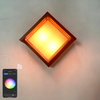 Minimalism Style Tuya Smart WiFi LED Wall Lamp 10W RGBW Outdoor Indoor APP Waterproof Sconce Dimmable Garden Light