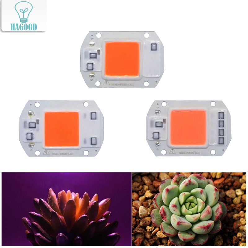 High Power full spectrum led grow chip 20W 30W 50W for Indoor Plant Growth Lighting