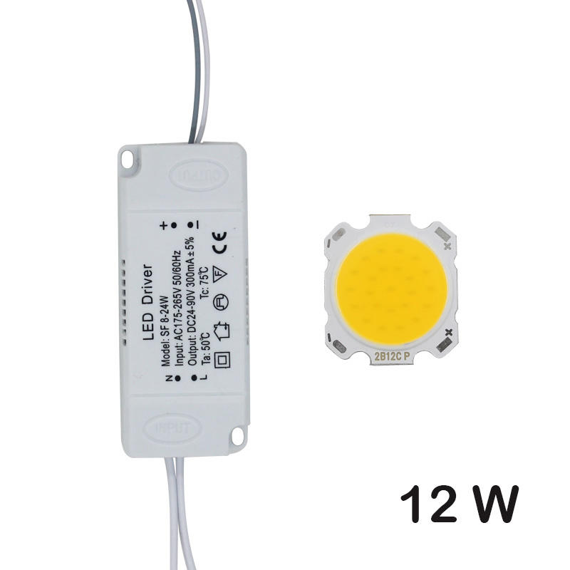 LED COB Lamp Bead 10W-30W Light Source Chip+LED Driver Power Supply Adapter Cold/Warm/Natural White for diy LED Spot light