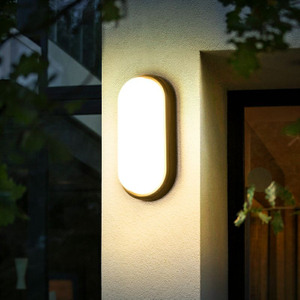 Outdoor Light LED Ceiling Anti Moisture-proof Light Outdoor Courtyard Villa Corridor Balcony Light Bathroom Induction Stairs