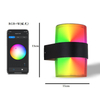 Tuya Smart App Control Waterproof IP 65 LED Wandlamp colorful waterproof outdoor wall lamp modern light outdoor goods