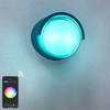 Wandleuchte Hagood 2023 Tuya APP High Quality Outdoor sconce Wifi Waterproof Wall Lamp Color Changing by smart app lamp