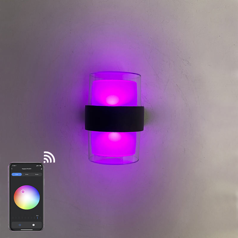 Tuya APP Smart light Acrylic waterproof wall light Round IP65 waterproof colorful fashionable decorative wall lamp
