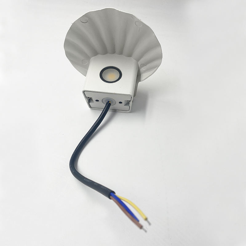 Ins Hot Sale High Quality Immortal Shell Crafts Bedside Lamp for Gift Home Decoration Kid's Room Decorative Night Light