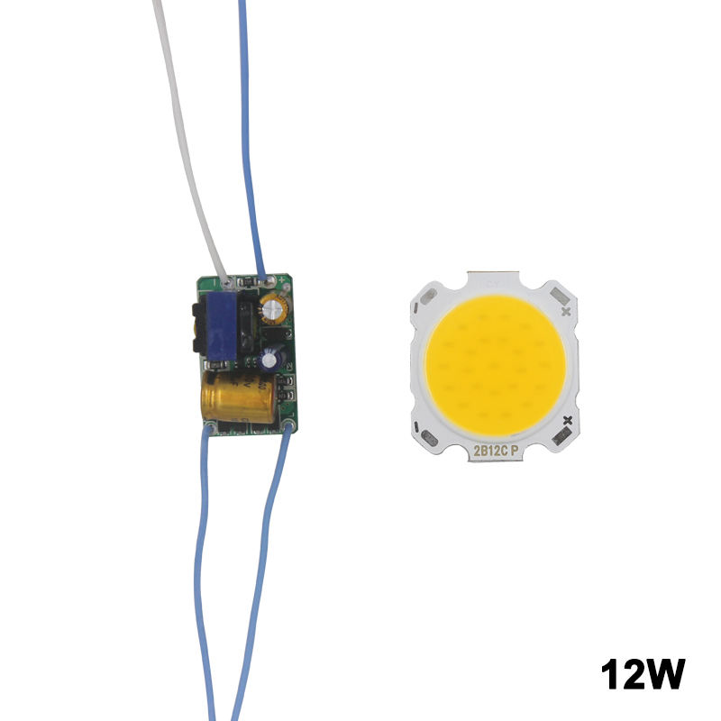 LED COB Lamp Bead 10W-30W Light Source Chip Cold /Warm Switch Conversion with Segment Control Power Adapter DIY Driver