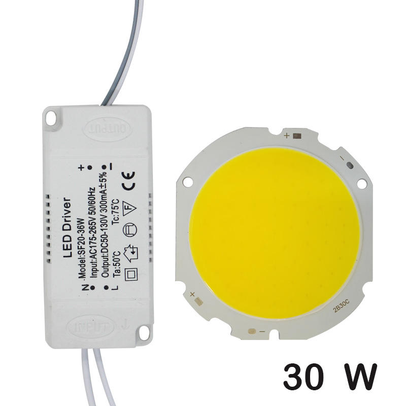 LED COB Lamp Bead 10W-30W Light Source Chip+LED Driver Power Supply Adapter Cold/Warm/Natural White for diy LED Spot light