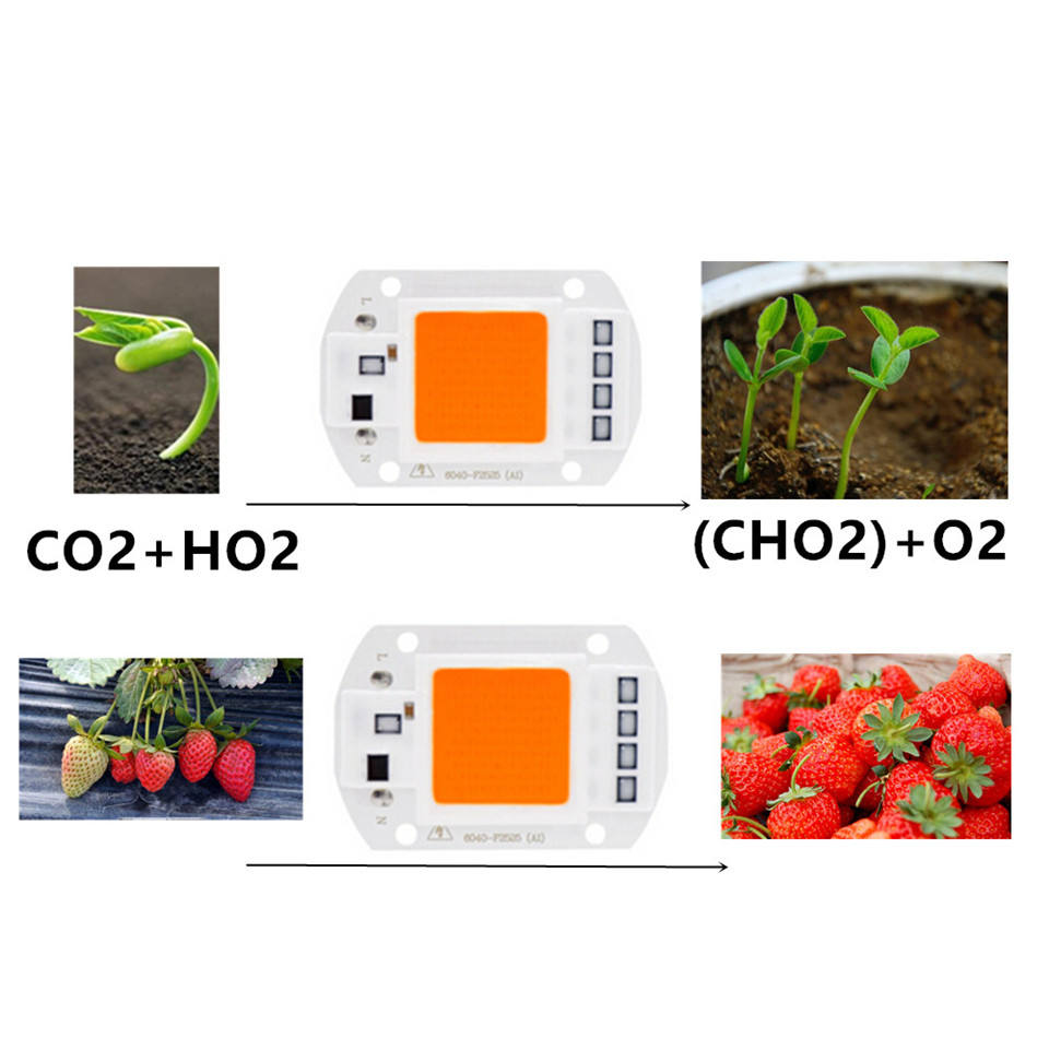 High Power Indoor led grow chip 20W 30W 50W for Plant Growth Lighting