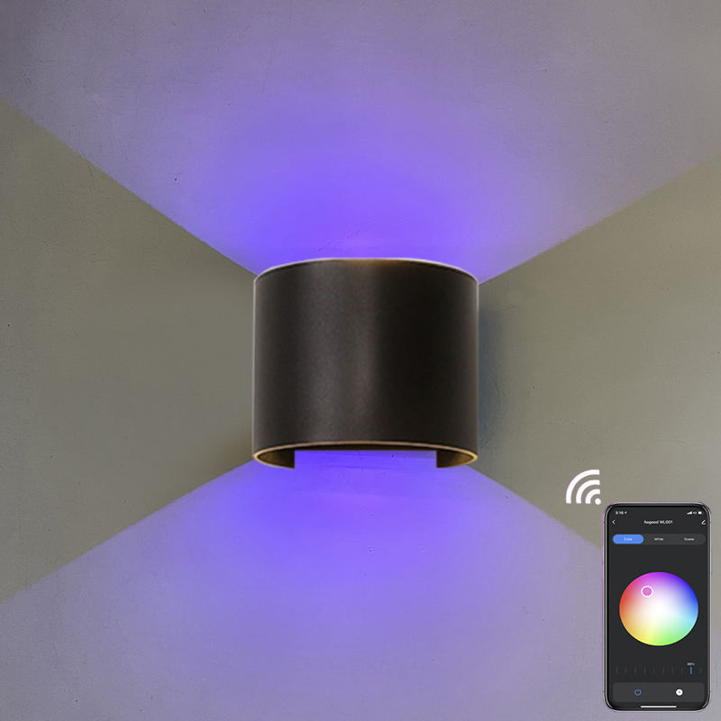 9W RGB TUYA APP control LED Wall sconce Waterproof IP65 Porch Garden up and down Wall Lamp Semicircular waterproof wall lamp
