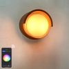 2023 Tuya APP High Quality Outdoor Sconce Wifi Waterproof Wall Lamp Color Changing by Smart App Lamp