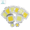 Super 10W 20W 30W 50W 100W LED Integrated High power LED bulb White/Warm white EPISTAR COB Chips led lamps