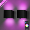 Outdoor Smart Outdoor Wall Light Dimmable Colour Changing RGB Wall Lamp Waterproof IP65 Adjustable Light Beam Outdoor Lamp