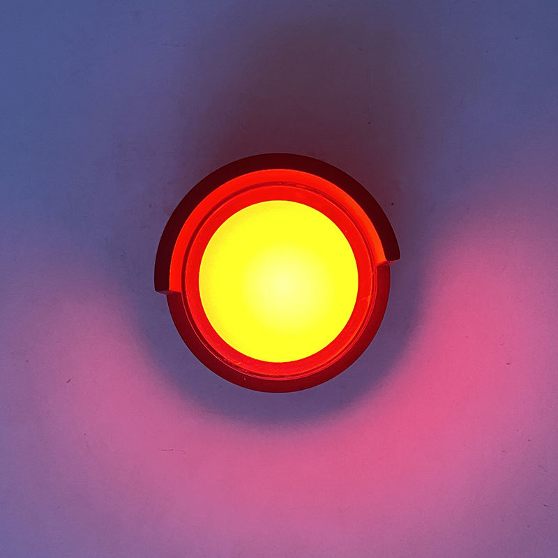 RGB outdoor wall lamp IP65 waterproof wall light for indoor outdoor Garden light Tuya App Control Lighting