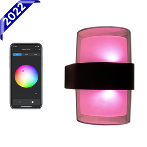 2023 intelligent wall lamp LED intelligent wall lamp IP65 waterproof colorful fashionable decorative wall lamp Tuya
