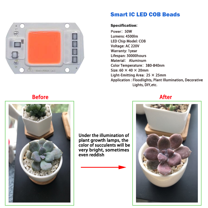 High Power full spectrum led grow chip 20W 30W 50W for Indoor Plant Growth Lighting
