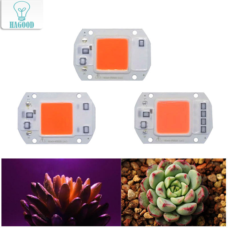 High Power full spectrum led grow chip 20W 30W 50W for Indoor Plant Growth Lighting