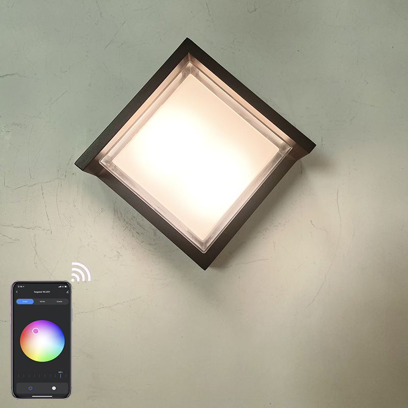RGB outdoor wall lamp IP65 waterproof wall light for indoor outdoor Garden light Tuya App Control Lighting