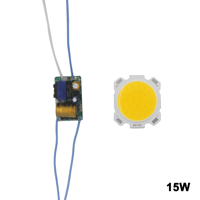 LED COB Lamp Bead 10W-30W Light Source Chip Cold /Warm Switch Conversion with Segment Control Power Adapter DIY Driver