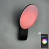 9W smart wall lamp intelligent lamps led light app control led light app control app controlled lighting Tuya App Outdoor wall lamp mobile phone remote control wall lamp