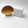 Ins Hot Sale High Quality Immortal Shell Crafts Bedside Lamp for Gift Home Decoration Kid's Room Decorative Night Light