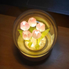 Handmade Tulip Night Light Heat Shrinkable Film DIY Material Artificial Flower Tulip Night Light Home Decor Gift for Gitlfriend