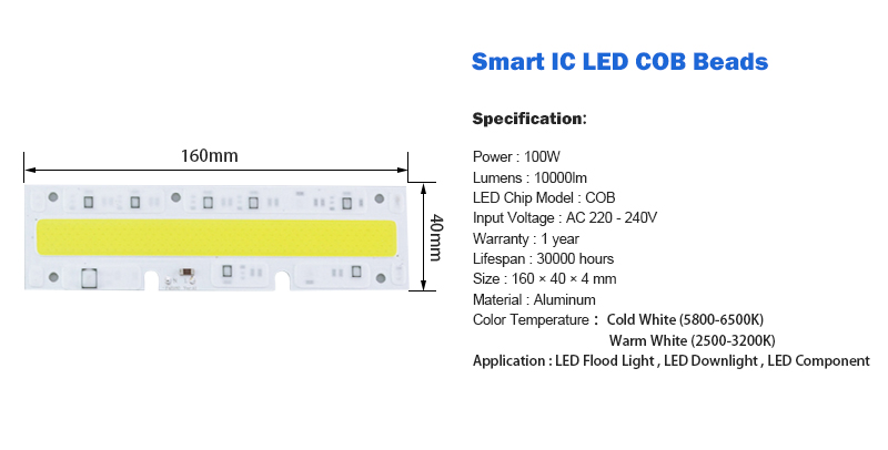 LED COB Light chip 30W 50W 70W 100W 150W LED Bulb Chip 220V Input Smart IC LED Driver for DIY LED Floodlight