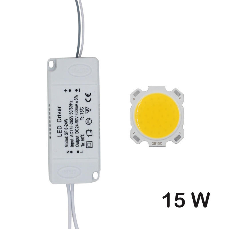 LED COB Lamp Bead 10W-30W Light Source Chip+LED Driver Power Supply Adapter Cold/Warm/Natural White for diy LED Spot light